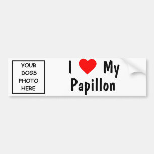 Papillon Bumper Sticker