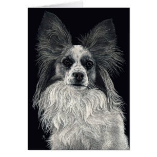 Papillon Card - "Sparkles"