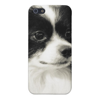 papillon case