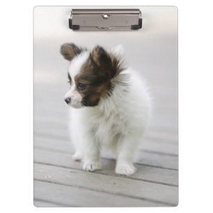 Papillon Clipboard