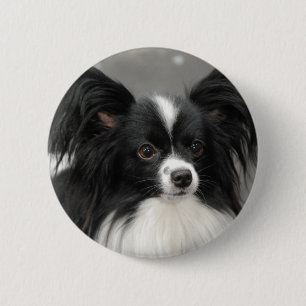 Papillon Dog Button