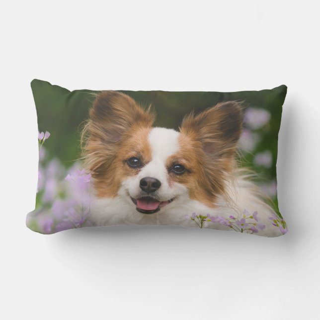 Papillon Dog Cute Romantic Portrait Photo  Outside Outdoor Cushion (Front)