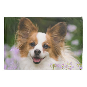 Papillon Dog Cute Romantic Portrait Photo - Pillowcase