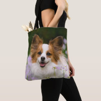 Papillon Dog Cute Romantic Potrait Photo  -