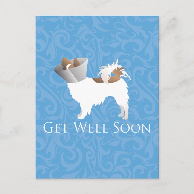 Papillon Dog Get Well Soon Design Postcard (Front)