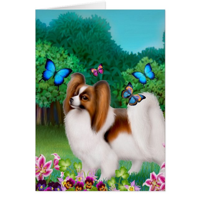 Papillon Dog in Garden Garden (Front)