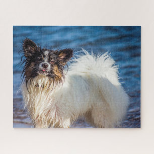 Papillon Dog. Jigsaw Puzzle