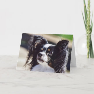 "Papillon" Dog Photo Greeting Card