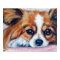 Papillon Dog Print
