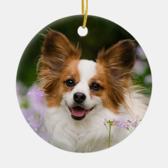 Papillon Dog Romantic Cute Portrait Ceramic Tree Decoration (Front)
