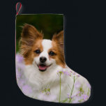 Papillon Dog Romantic Portrait Santa mantle<br><div class="desc">A White and Red Papillon dog sitting in a meadow surrounded by Cuckooflower. The Papillon is an alert,  friendly and very smart toy breed. This little lovely doggy was photographed by Katho Menden,  this Santa xmas mantle decor is an enchanting special gift idea for doglovers.  http://www.zazzle.com/kathom_photo</div>