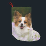 Papillon Dog Romantic Portrait Santa mantle Small Christmas Stocking<br><div class="desc">A White and Red Papillon dog sitting in a meadow surrounded by Cuckooflower. The Papillon is an alert,  friendly and very smart toy breed. This little lovely doggy was photographed by Katho Menden,  this Santa xmas mantle decor is an enchanting special gift idea for doglovers.  http://www.zazzle.com/kathom_photo</div>