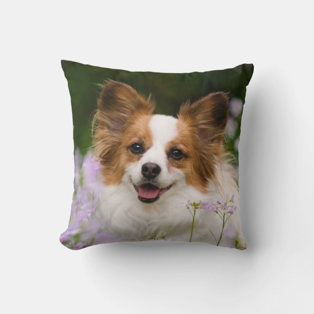 Papillon Dog Romantic Portrait, Square Cushion (Front)