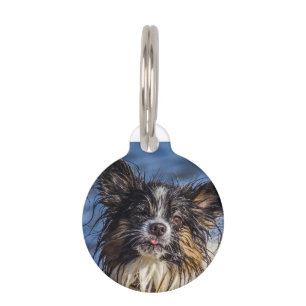 Papillon Dog Tags. Pet Tag