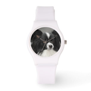 Papillon Dogs Watch
