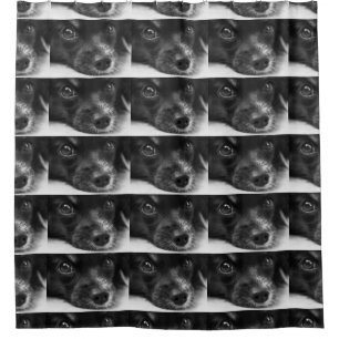 papillon face shower curtain