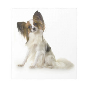 papillon full notepad