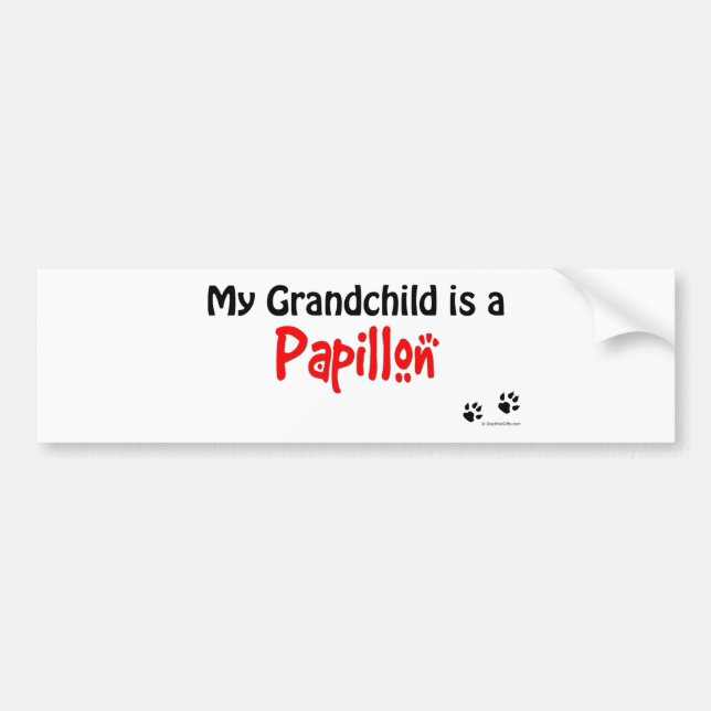 Papillon Grandchild Bumper Sticker (Front)