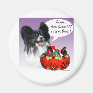 Papillon Halloween Candy Magnet