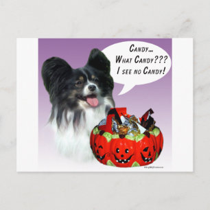 Papillon Halloween Candy Postcard