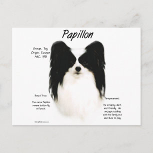Papillon History Design Postcard