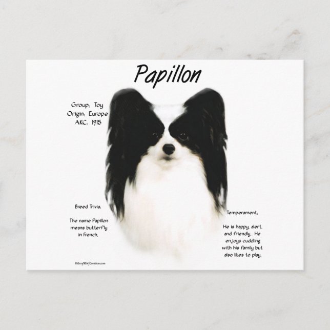 Papillon History Design Postcard (Front)