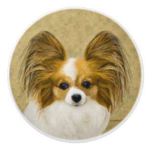 Papillon (Hound Tri) Painting - Original Dog Art Ceramic Knob