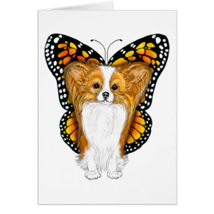 Papillon in Disguise