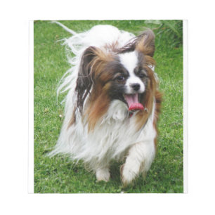 Papillon_in motion notepad