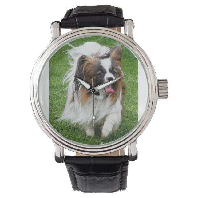 Papillon_in motion watch (Front)