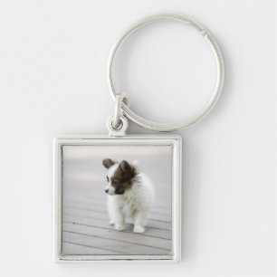 Papillon Key Ring