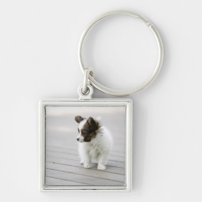 Papillon Key Ring (Front)