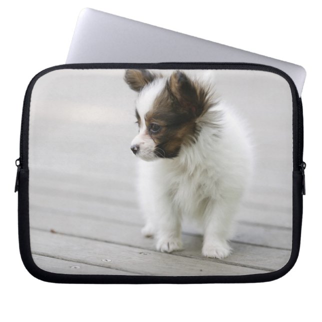 Papillon Laptop Sleeve (Front)