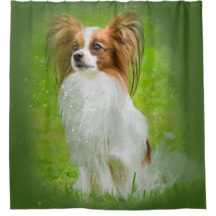 papillon,papilon,papillon dogs,papillon dog,  shower curtain