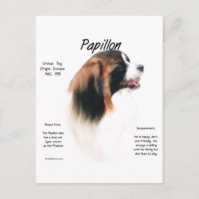 Papillon (Phalene) History Design Postcard (Front)
