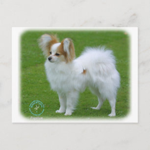 Papillon Postcard