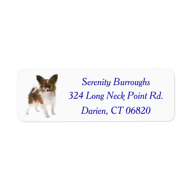 Papillon Puppy Dog Blue (Front)