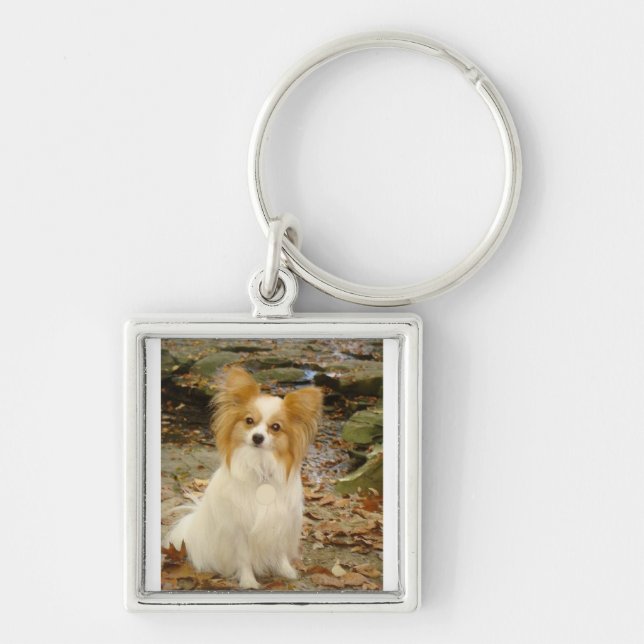 Papillon sitting.png key ring (Front)