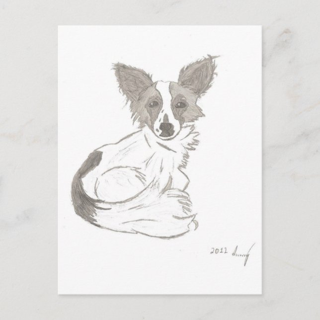 Papillon Sketch Postcard (Front)