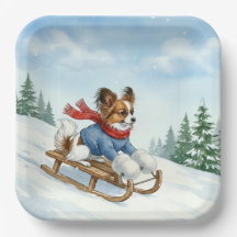Papillon Sledding, Paper Plates