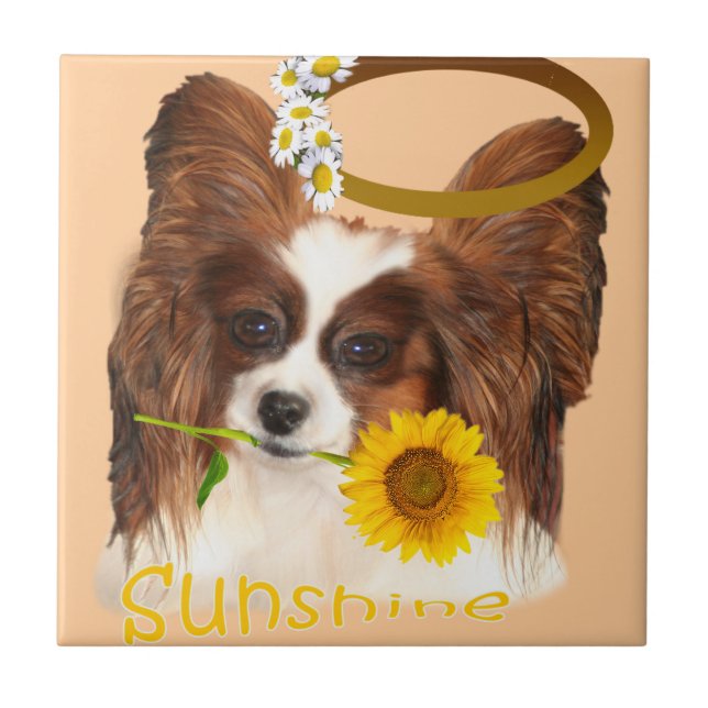 Papillon Sunshine Tiles (Front)