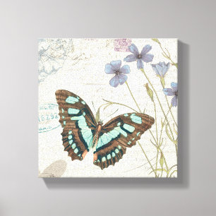 Papillon Tales Canvas Print