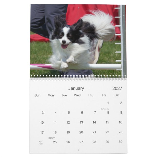 Papillons Agility Wall Calendar (Jan 2027)