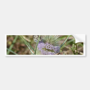 Papillons Bumper Sticker