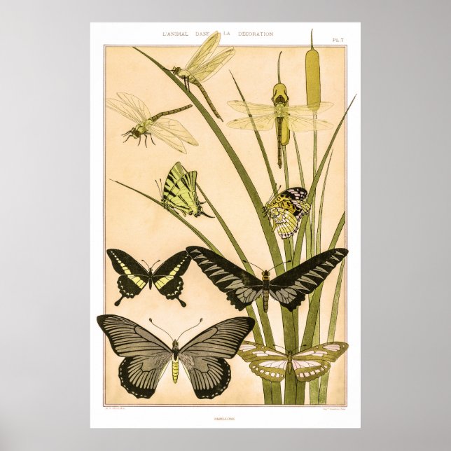 Papillons & Dragonflies by Maurice Verneuil Poster (Front)