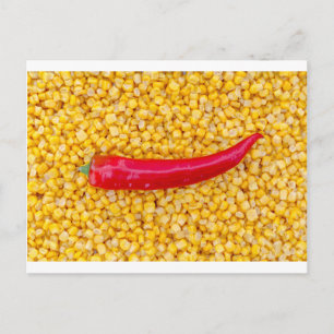 Paprika on corn postcard