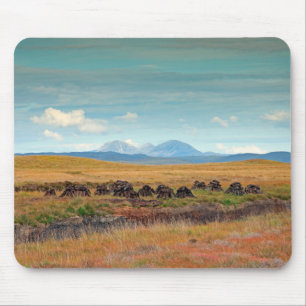 Paps of Jura from Islay, Scotland Mouse Pad