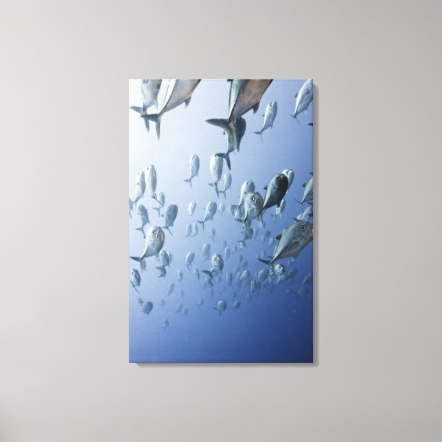 Papua New Guinea Canvas Print (Front)