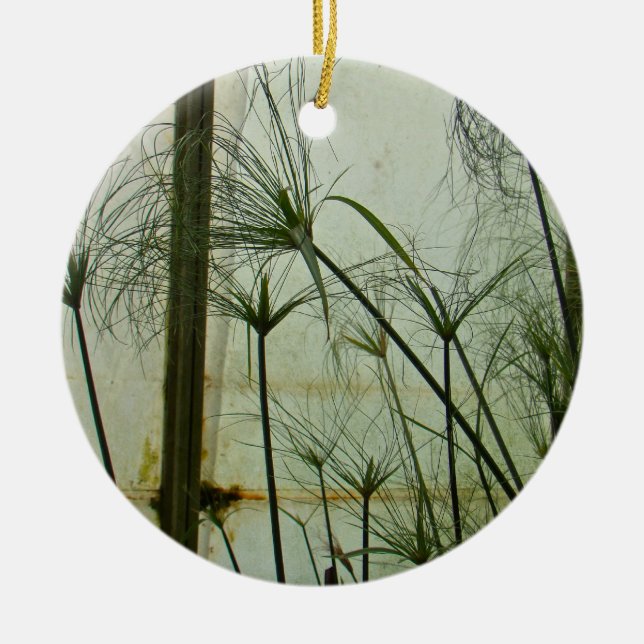 Papyrus Ceramic Tree Decoration (Front)