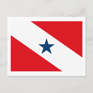 Para Flag Postcard